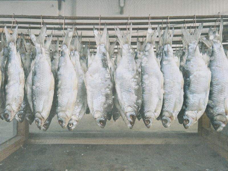 Metzgerei Fleischgenuss
